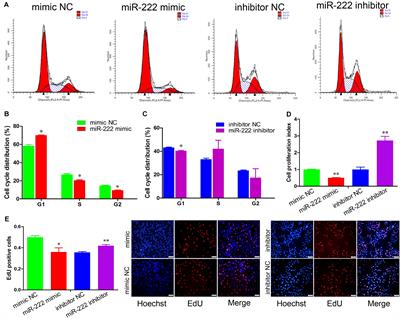 miR-222 Suppresses Immature Porcine Sertoli Cell Growth by Targeting the GRB10 Gene Through Inactivating the PI3K/AKT Signaling Pathway